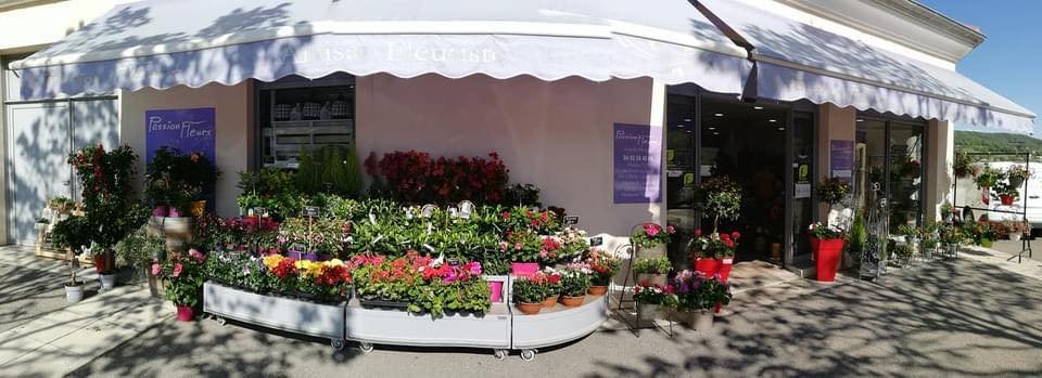 476116095-961745215935050-6866580109073858642-n