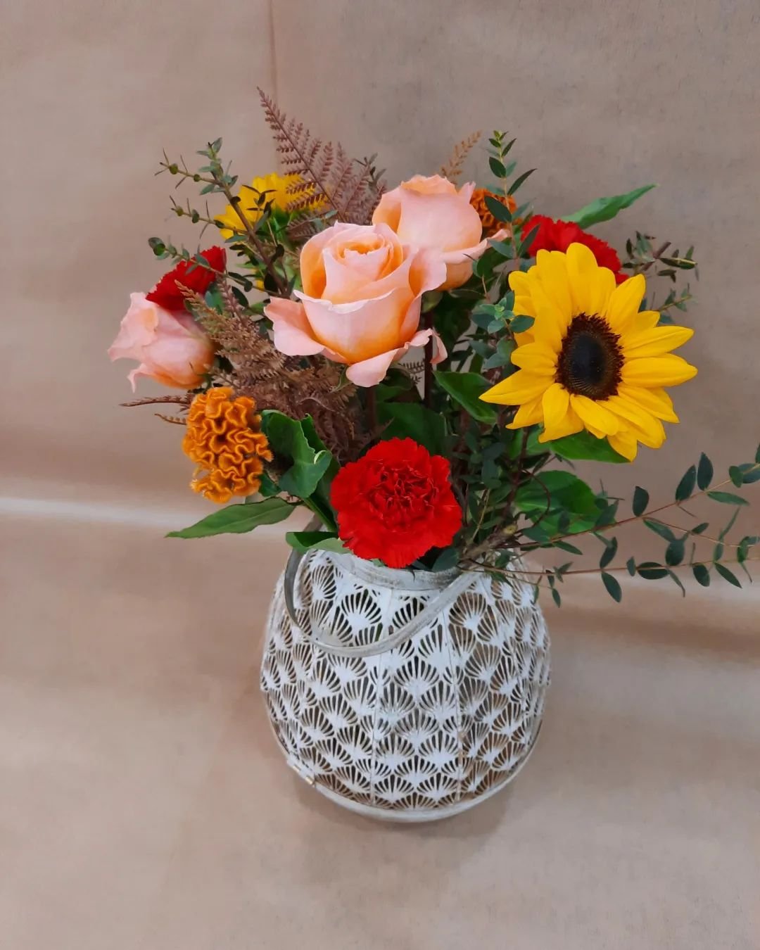 476359226-966943218748583-2360714592664687913-n