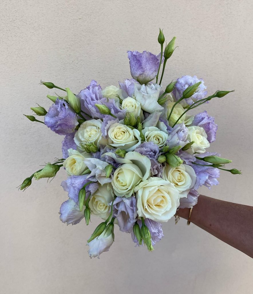 476975559 967888311987407 1109383405701948784 n