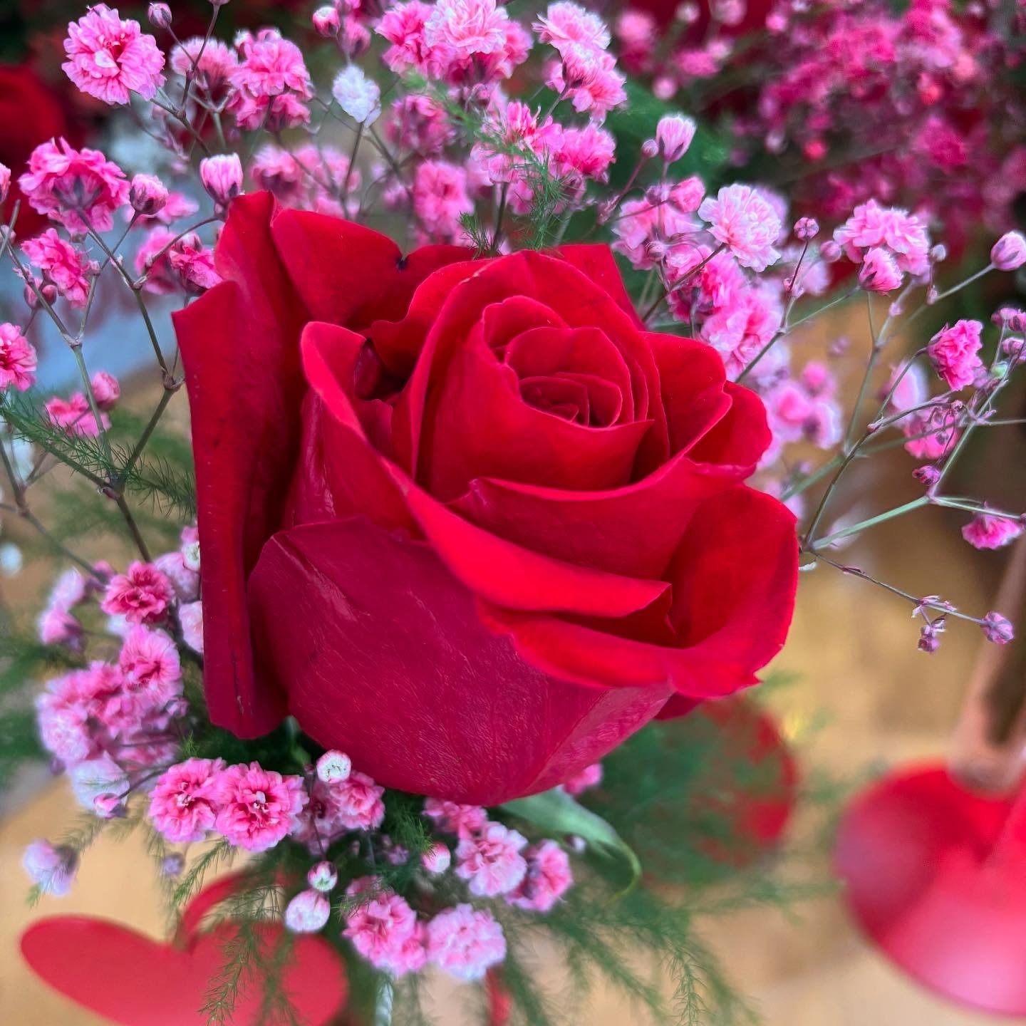 478342655-18144373399375521-8173372108444995942-n