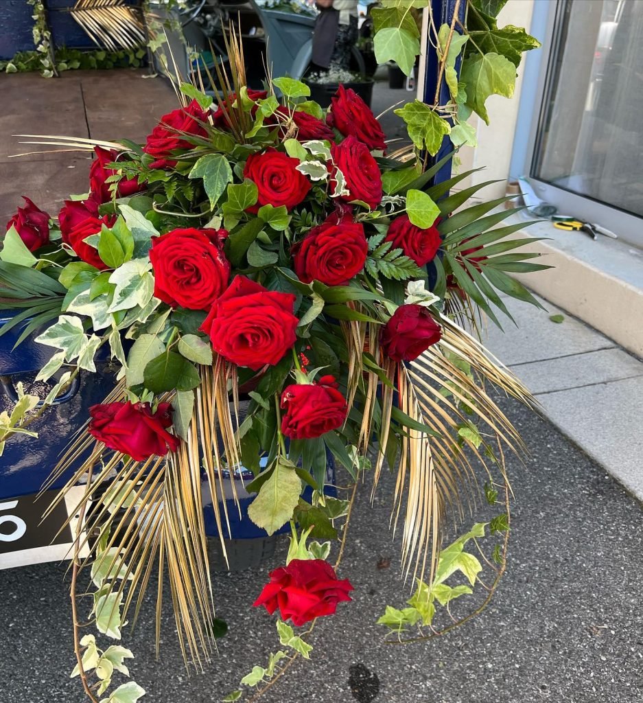 479523660 2053517628482485 976772840639379049 n