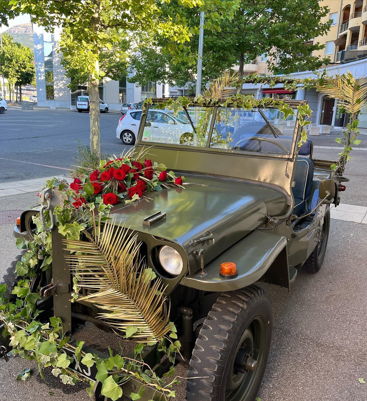 479905820-2053517671815814-7042761439979708914-n