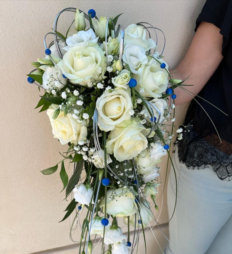 480244646 2053517658482482 2837267328485332071 n 480244646 2053517658482482 2837267328485332071 n