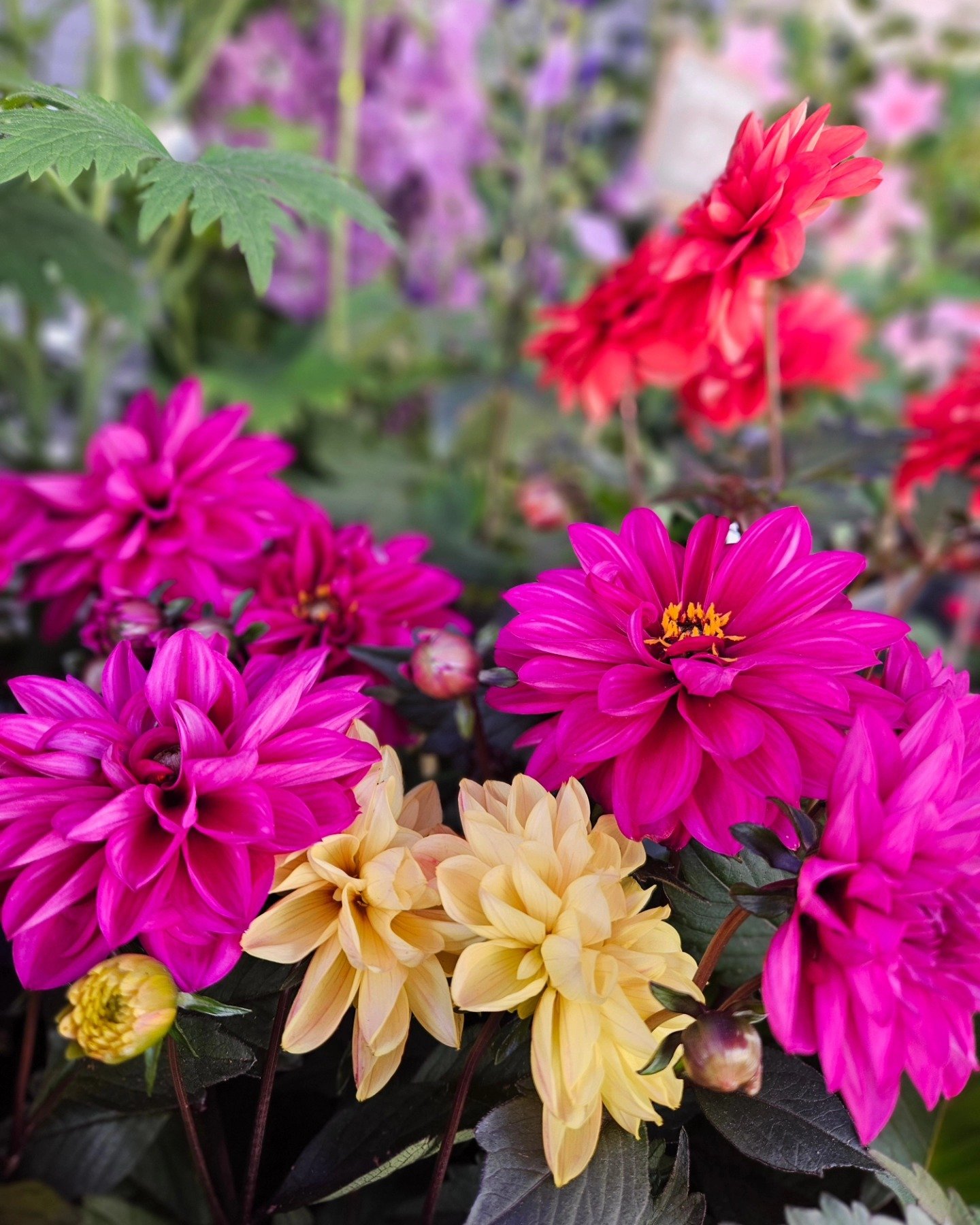 480426706-973635104746061-7054343594299850240-n