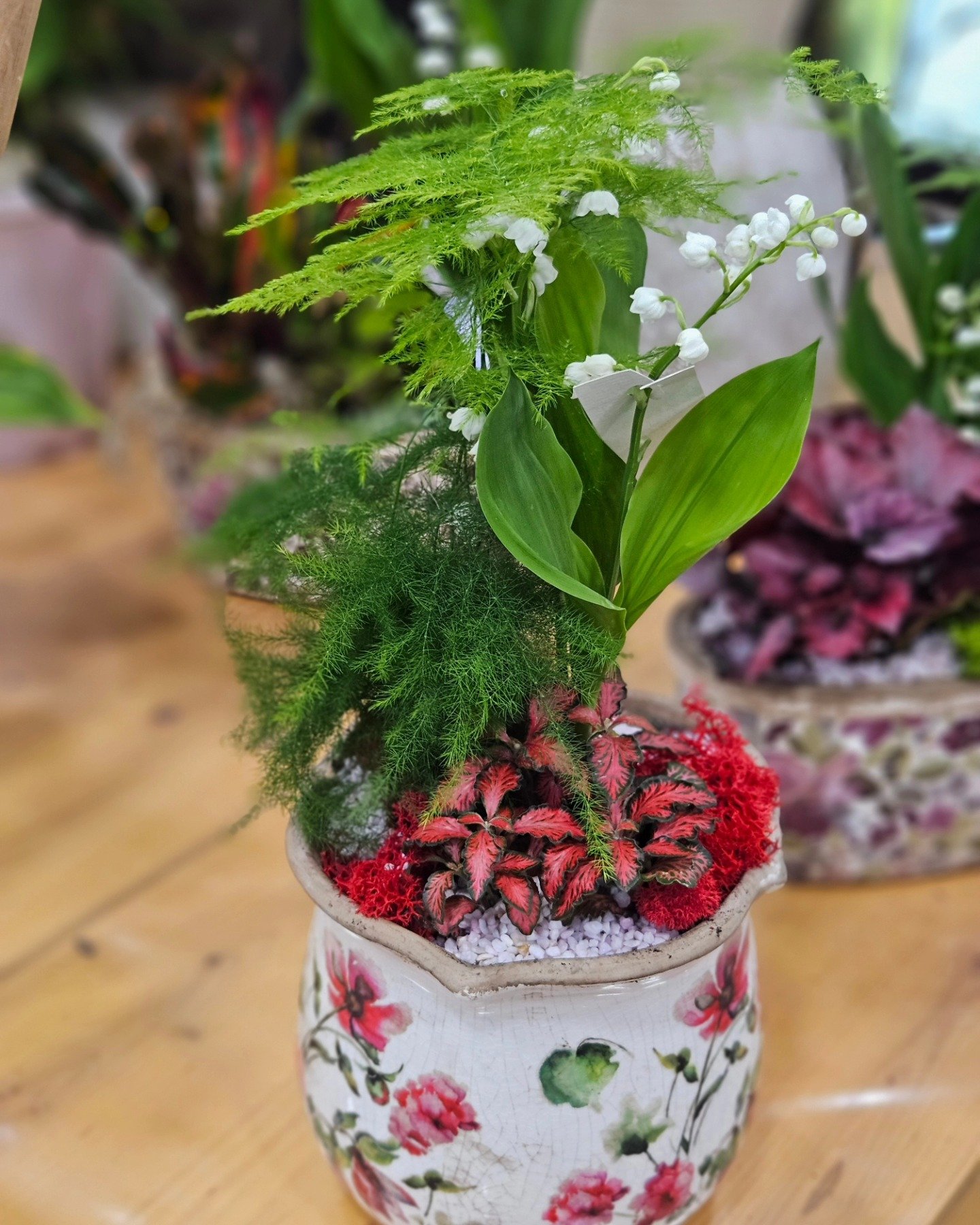 480667758-973628951413343-614334559797437274-n