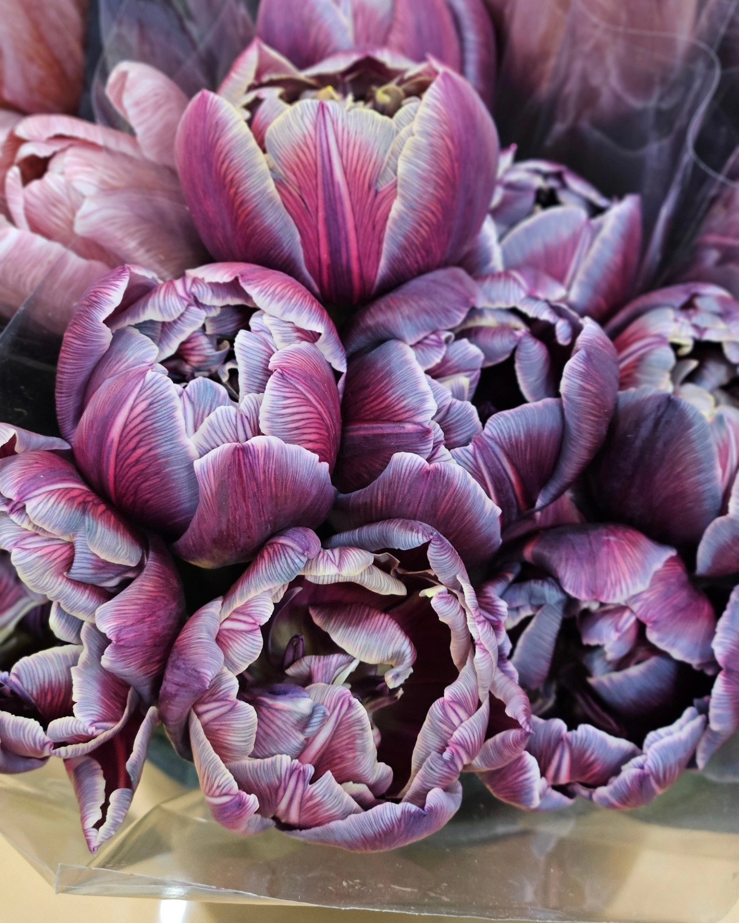 480862127-973219644787607-7830287103687128975-n