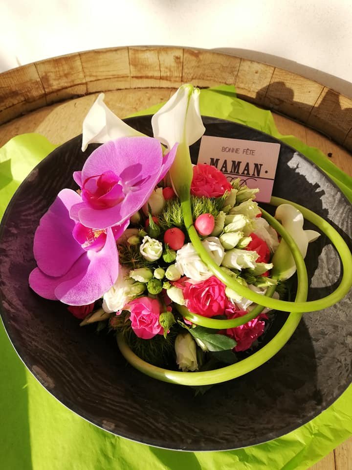 61022913 626015054566090 2914148916792393728 n