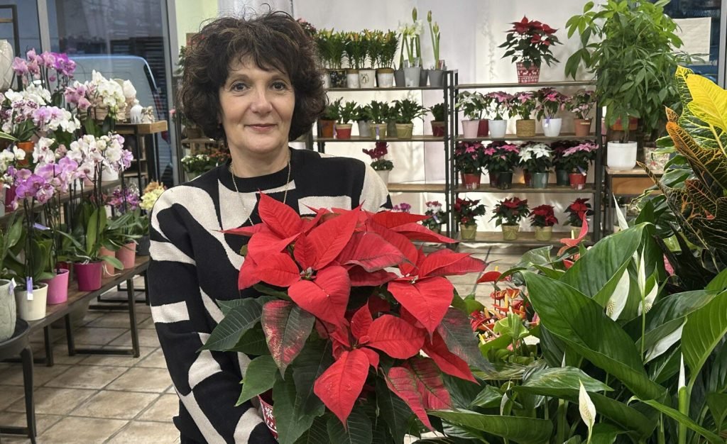 beatrice perez fleuriste