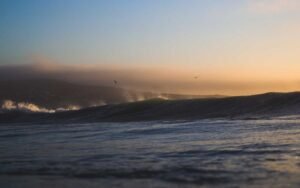 Les tendances Lifestyle Local en 2026